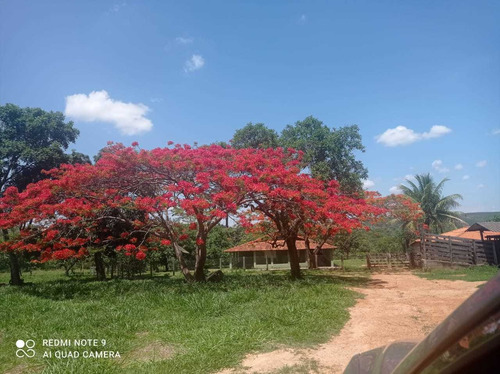 Chacreamento Ouro De Minas