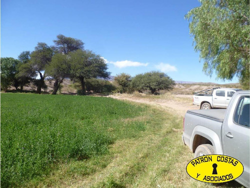 Imagen 2 de 22 de 2054hp-24000 Has Molinos Con Riego