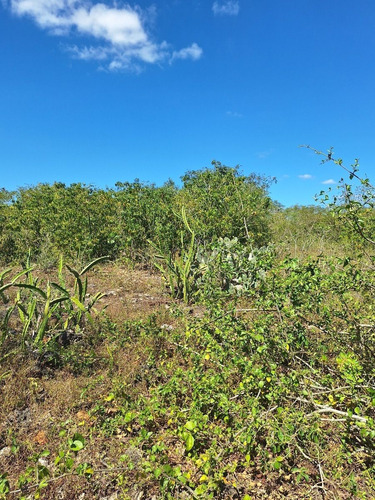Rancho En Venta Con Cenotes En Excelente Zona Ganadera Del Estado De Yucatán