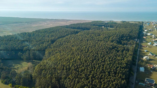 Venta Lote Tipantu
