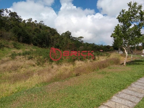 Imagem 14 de 16 de Terreno Com Mais De 2 Mil M² Dentro De Condomínio Em Vieira, Teresópolis/rj. - Te00202 - 33751391