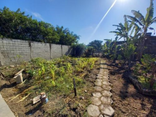 Imagem 11 de 17 de Mini Chácara No Bairro Sítio Velho, Em Itanhaém, Com Ar Condicionado No Quarto, Água Sabesp, Plantações, Galinheiro No Fundo, Analisa Proposta À Vista Ref: 9694/ac