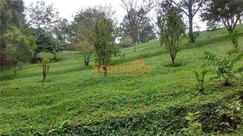 Imagem 13 de 13 de Chácara À Venda, Potuverá, Itapecerica Da Serra/sp - 3374