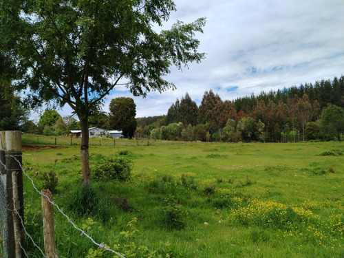 Vende Terreno 6.700 M2 Cerca Lago Ranco, Pillaco, Region De