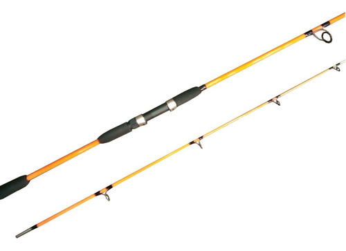 Combo Pesca Variada Profesional Caña 2tramos Reel Nylon C