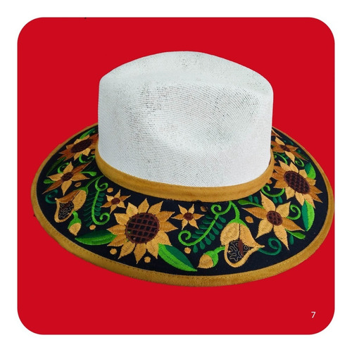 Imagen 2 de 9 de Elegante Sombrero Artesanal De Gamuza Bordado Mediano 1