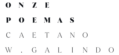 Onze poemas, de W. Galindo, Caetano. Editorial Arte & Letra, capa dura em português, 2020