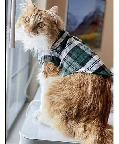 Conjunto De Verano Para Mascotas Pequeñas Gatos, Perritos Verde Rojo Mascota