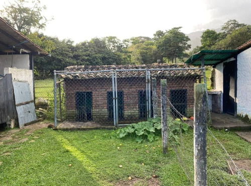Imagen 9 de 17 de Venta Espectacular Finca San Cristobal, Estado Tachira