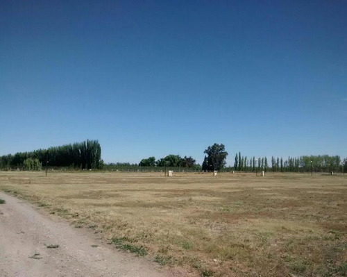 Imagen 6 de 6 de Lote Barrio Estilo Chacra Cipolletti