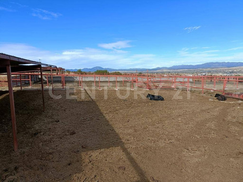 Imagen 8 de 24 de Rancho En Venta Cd. Guerrero, Chihuahua.