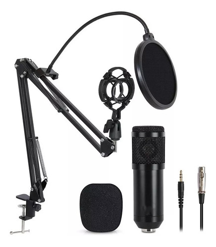 Kit Profesional Microfono Condensador Grabación Estudio,ktv