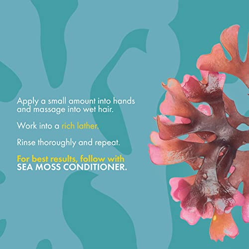 Mielle Orgánicos Mar Moss Anti-shedding Yf68j