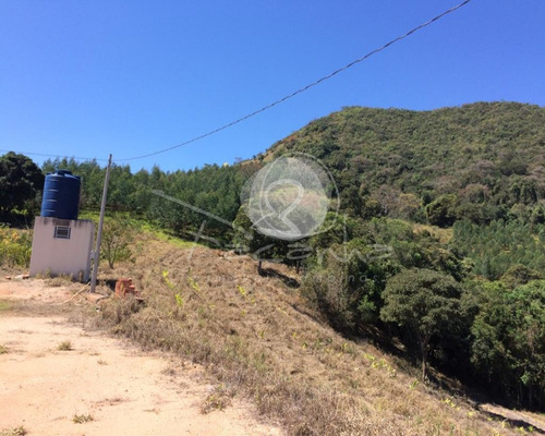 Imagem 16 de 18 de Sítio Para Venda Em Jacutinga Mg - Imobiliária Em Campinas - St00004 - 69577073
