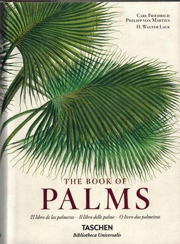 The book of palms, de Lack, H. Walter. Editora Paisagem Distribuidora de Livros Ltda., capa dura em português, 2015