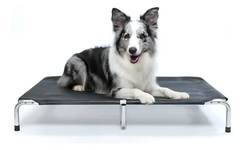 Cama Suspensa Elevada Pet