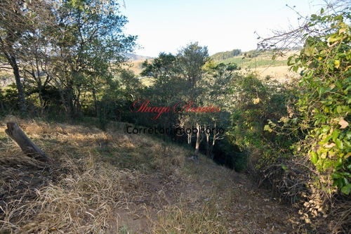 Imagem 12 de 30 de Chacara - Ch00012 - 34749950