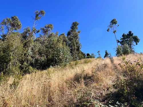 Proyecto Monte Pradera