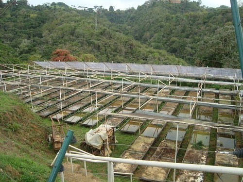 Imagen 11 de 12 de Finca Venta Corralito Riv#6143