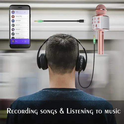 Wireless Karaoke Microphone, Speaker, Audio Toy | MercadoLivre
