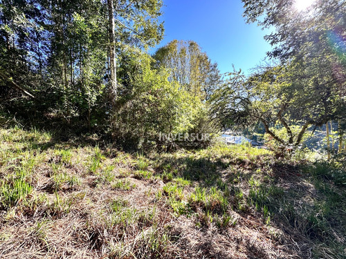 Hermoso Terreno En Arique Ruta Valdivia Los Lagos