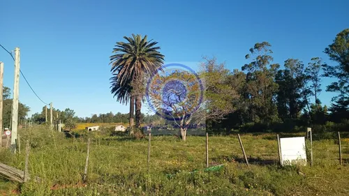 Ref.: Malt100-1 Espectacular Terreno De 10.200 Mts2 A 3 Kms De Punta Ballena