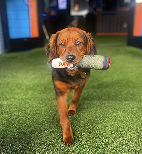 Juguetes Divertidos Para Perros - Juguetes Chirriantes De