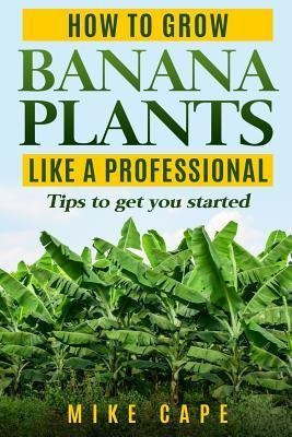 How To Grow Banana Plants Like A Professional  Beginneaqwe