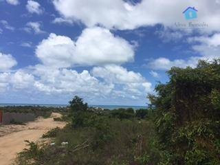 Imagem 10 de 26 de Terreno Plano Em Meio A Natureza Com Vista Para O Mar - Te0418