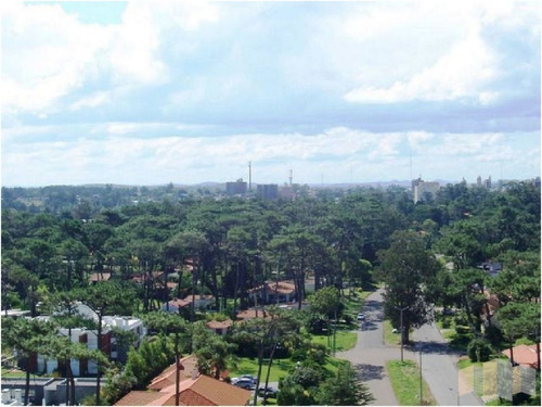 Imagen 27 de 30 de Apartamento En Punta Del Este, Mansa