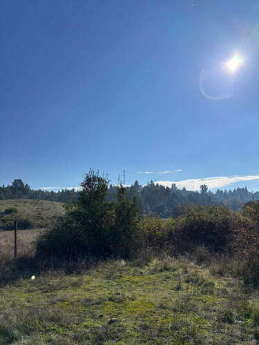 A Tan Solo 45 Minutos De Concepcion Parcelas (103640)