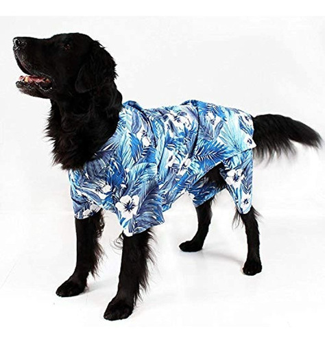 Camisa Midlee Azul Perro Hawaiano