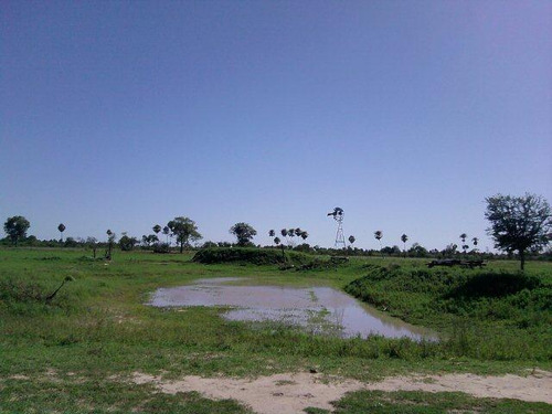 Campo Grandioso En Argentina- Formosa-estanislao Del Campo