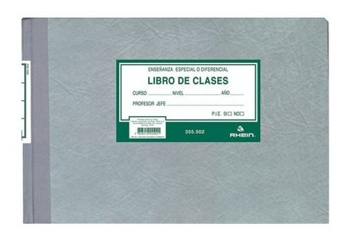 Libro De Clases Enseñanza Especial O Diferencial. 355502