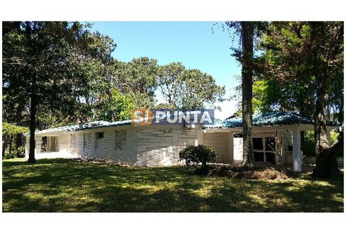 Imagen 1 de 11 de Casa En Venta - Lugano