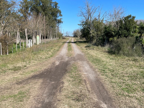 Lotes En Paraje Don Cipriano