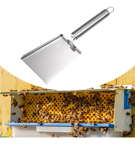 Limpieza De De Colmena Apiar Multifuncional Apiar Beehive