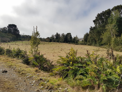 Parcela En Loteo Consolidado En Puerto Varas.