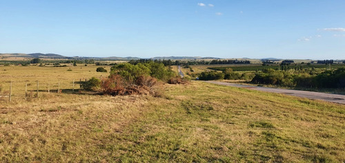 Chacra En Venta Pueblo Edén 5 Hectáreas Ruta 12