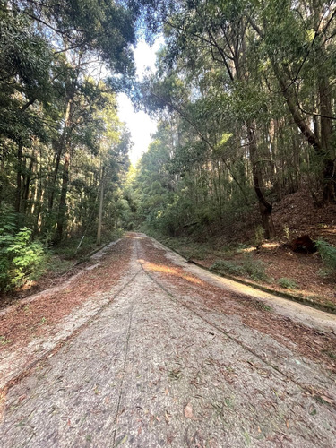Terrenos En Venta Lo Pequen, Alto Concepción