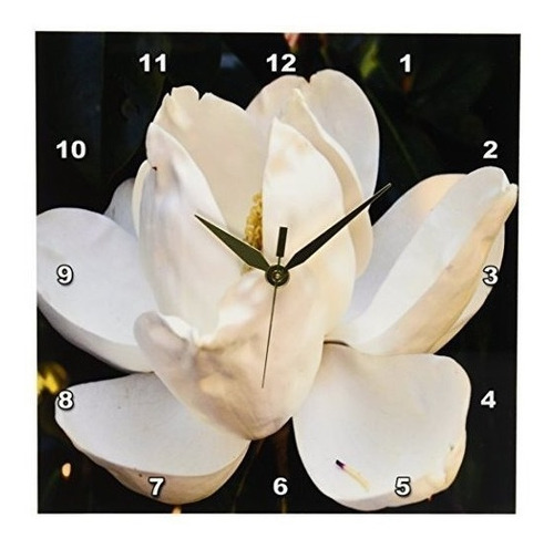 Whiteoak Georgia Flor Blanca De Magnolia Reloj De Pared 10 P