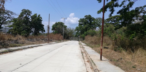 ** Josefina Toledo: Terreno Multifamiliar En Venta, San Diego, Al Lado La Casa De Los Profesores Universitario, 2042,70m², Vialidad En Cemento, Agradable Clima, Anteproyecto