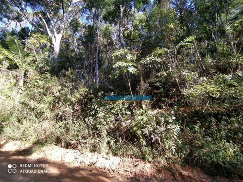 Imagem 2 de 6 de Terreno À Venda, 9144 M² - Prata - Teresópolis/rj - Te0463