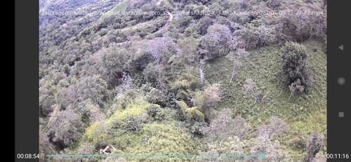 Imagen 8 de 9 de Venta Finca 2 Horas De Bogota