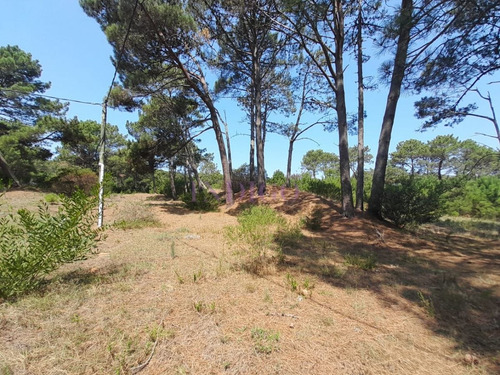 Imagen 7 de 12 de Venta De Lote En Barra Verde, La Barra, Uruguay - La Barra Barra Verde