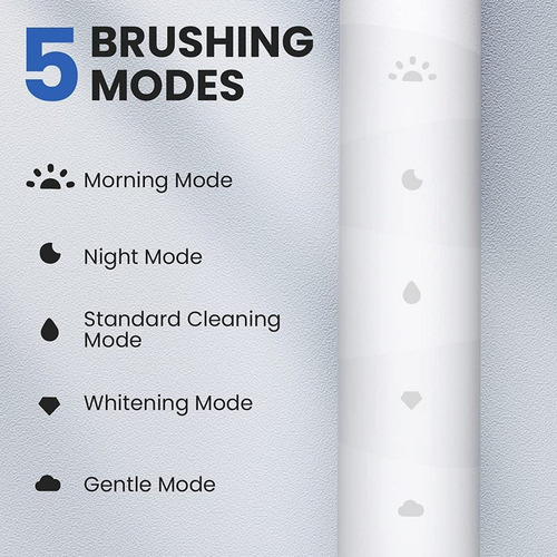 Cepillo Dental Eléctrico Recargable Para Viaje Oclean Flow