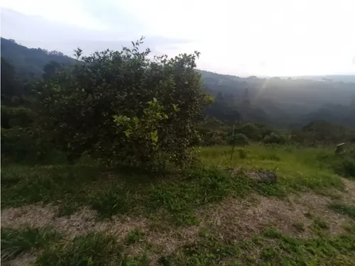 Se Vende Finca En Salento - Quindío