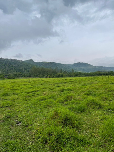 Imagem 13 de 14 de N20- Terrenos 1.000m2 Jacarei Esta Acabando Ainda Da Tempo