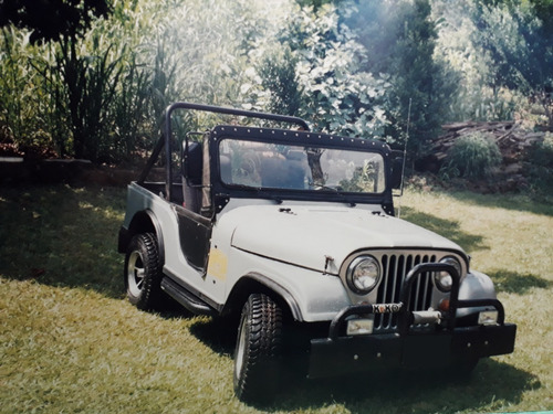 Imagem 3 de 6 de Jeep Willys V8