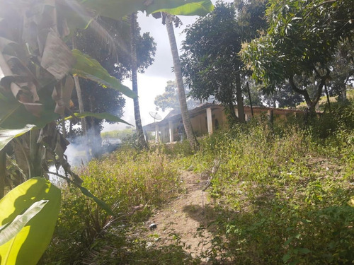 Imagem 2 de 9 de Sítio / Chácara Para Venda Em Murici, Zona Rural - In - 005_1-1697775
